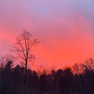 Meet your Posher, Meghan